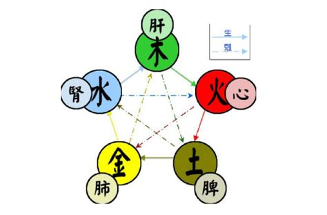 火 木 五行|五行（对万事万物的取象比类）